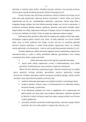 Įmonės tikslų vertinimas 11 puslapis