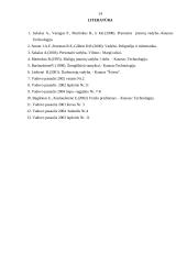 Įmonės tikslų vertinimas 14 puslapis