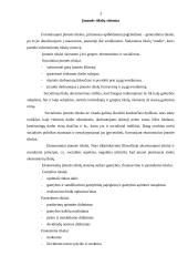 Įmonės tikslų vertinimas 3 puslapis