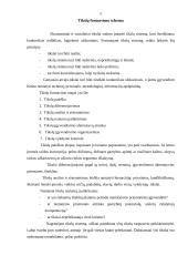 Įmonės tikslų vertinimas 5 puslapis