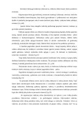 Įmonės tikslų vertinimas 6 puslapis