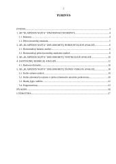 Įmonės veiklos analizė: naftos produktų perpylimas "Klaipėdos nafta" 2 puslapis