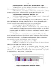 Įmonės veiklos analizė: naftos produktų perpylimas "Klaipėdos nafta" 13 puslapis