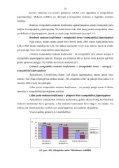 Įmonės veiklos analizė: naftos produktų perpylimas "Klaipėdos nafta" 14 puslapis