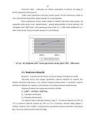 Įmonės veiklos analizė: naftos produktų perpylimas "Klaipėdos nafta" 16 puslapis