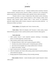 Įmonės veiklos analizė: naftos produktų perpylimas "Klaipėdos nafta" 3 puslapis