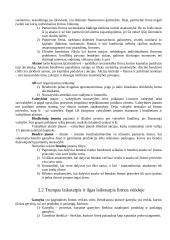 Įmonių analizė ir įmonių kaštų sudėtis 5 puslapis