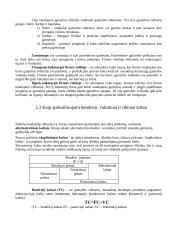 Įmonių analizė ir įmonių kaštų sudėtis 6 puslapis