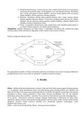 Įmonių analizė ir įmonių kaštų sudėtis 8 puslapis
