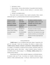 Įmonių klasifikavimas 3 puslapis