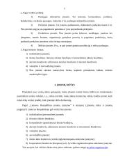 Įmonių rūšys ir individualios įmonės steigimas 3 puslapis