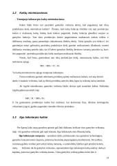 Įmonių veikla ir kaštai 14 puslapis