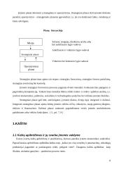 Įmonių veikla ir kaštai 8 puslapis