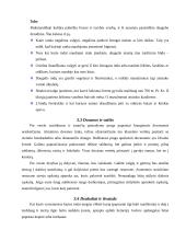 Indija. Verslas, papročiai ir elgesio taisyklės 11 puslapis