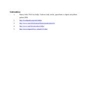 Indija. Verslas, papročiai ir elgesio taisyklės 13 puslapis