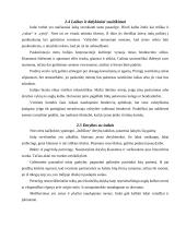 Indija. Verslas, papročiai ir elgesio taisyklės 9 puslapis