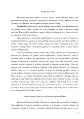 Individas ir individualizmas socialinėje teorijoje 4 puslapis