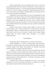 Individas ir individualizmas socialinėje teorijoje 10 puslapis