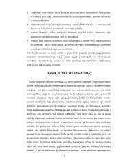 Individualūs darbo santykiai: teisės normos, dokumentavimas 12 puslapis