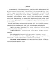 Individualūs darbo santykiai: teisės normos, dokumentavimas 3 puslapis