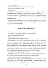 Individualūs darbo santykiai: teisės normos, dokumentavimas 7 puslapis