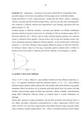 Infliacija kaip ekonominė problema 14 puslapis