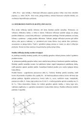 Infliacija kaip ekonominė problema 15 puslapis