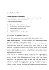 Infliacija kaip ekonominė problema 16 puslapis