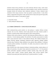 Infliacija kaip ekonominė problema 19 puslapis