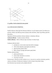 Infliacija kaip ekonominė problema 20 puslapis