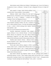 Infliacija Europos Sąjungoje 19 puslapis