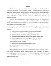 Infliacija Europos Sąjungoje 3 puslapis
