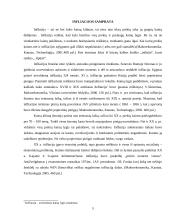 Infliacija Europos Sąjungoje 4 puslapis