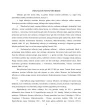 Infliacija Europos Sąjungoje 5 puslapis