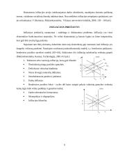 Infliacija Europos Sąjungoje 8 puslapis