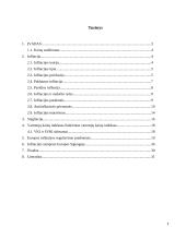 Infliacija ir jos reguliavimas Europoje 2 puslapis