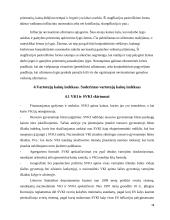 Infliacija ir jos reguliavimas Europoje 18 puslapis