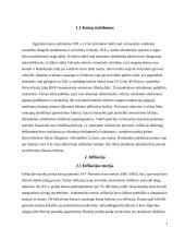 Infliacija ir jos reguliavimas Europoje 4 puslapis