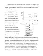 Infliacija ir jos reguliavimas Europoje 7 puslapis