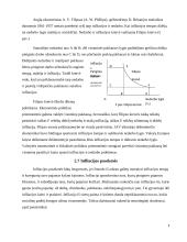 Infliacija ir jos reguliavimas Europoje 9 puslapis