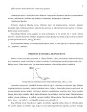 Infliacija ir defliacija Lietuvoje 8 puslapis