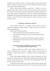 Policijos veikla užtikrinant viešąjį saugumą 3 puslapis