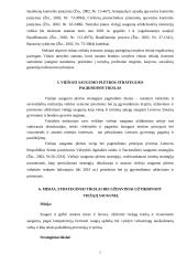 Policijos veikla užtikrinant viešąjį saugumą 4 puslapis