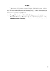 Infliacijos valdymas monetarizmo teorijos aspektu 2 puslapis