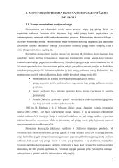 Infliacijos valdymas monetarizmo teorijos aspektu 3 puslapis