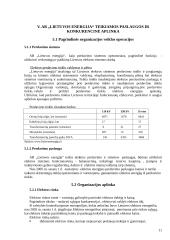 Informacinis aprūpinimas: AB "Lietuvos energija" 11 puslapis