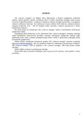 Informacinis aprūpinimas: AB "Lietuvos energija" 3 puslapis