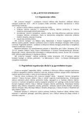Informacinis aprūpinimas: AB "Lietuvos energija" 4 puslapis