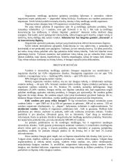 Inkstai ir jų veikla 3 puslapis