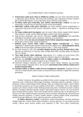 Inkstai ir jų veikla 4 puslapis